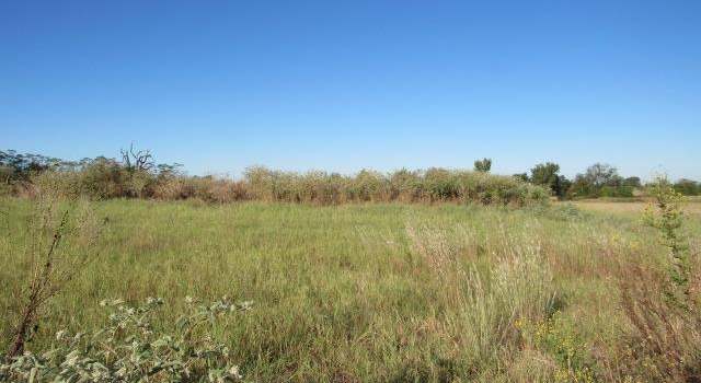 Photo of Lots 7&8 Fm 645, Tennessee Colony, TX 75861