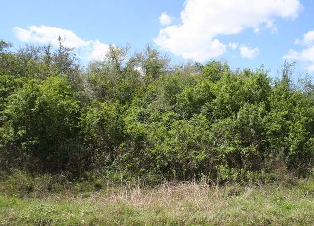Property at Lot 23 Cuarto, Brazoria, TX 77422