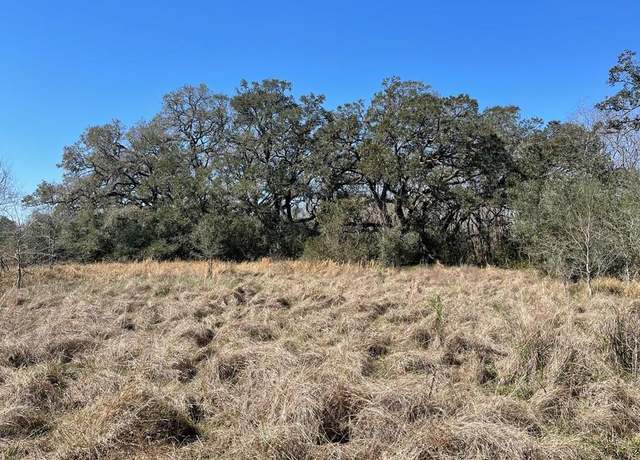 Property at 6.36 CR 449/ Armstrong Rd, West Columbia, TX 77486