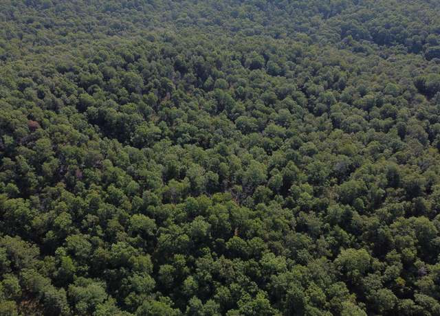 Property at Antioch Rd, Cave City, AR 72521