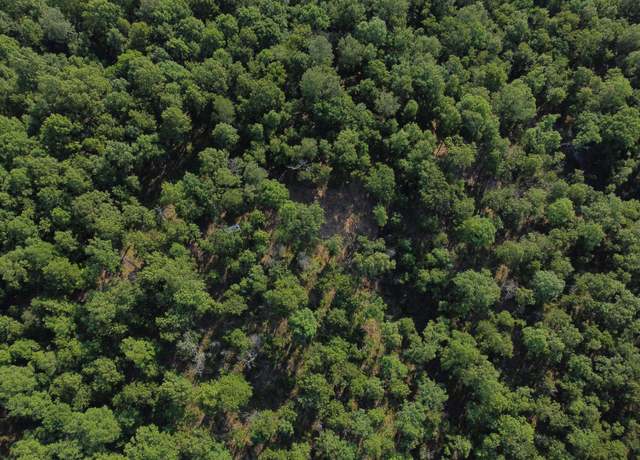 Property at Antioch Rd, Cave City, AR 72521