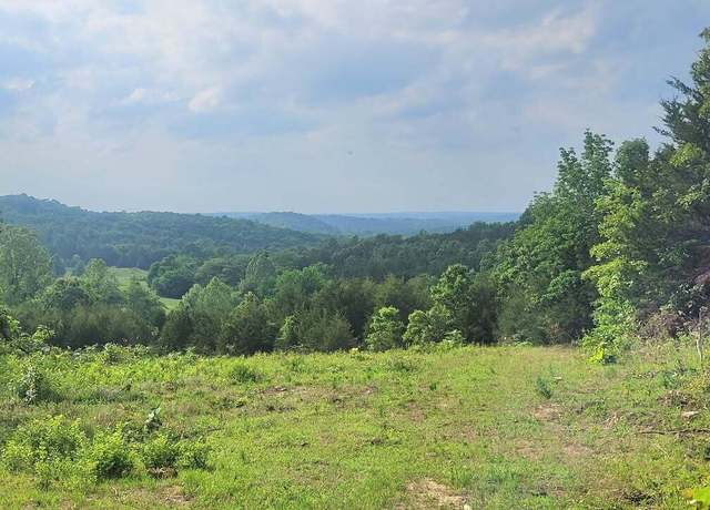 Property at 239 N Wilson Wells Rd Rd, Evening Shade, AR 72569