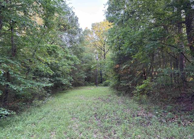 Property at Tbd Goliad, Mt Vernon, TX 75457