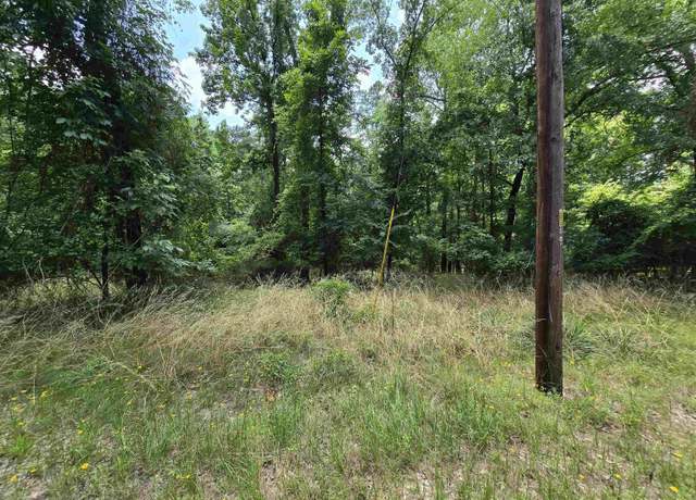 Property at TBD Blackjack, Frankston, TX 75763
