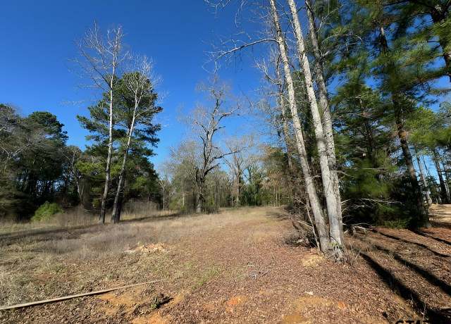 Property at Lot 4 Berrycreek Cir, Frankston, TX 75763