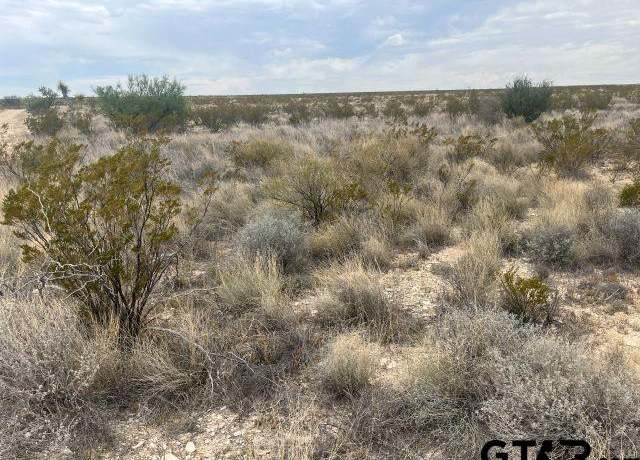 Property at 14760a Rogers Pid, Terlingua, TX 79852