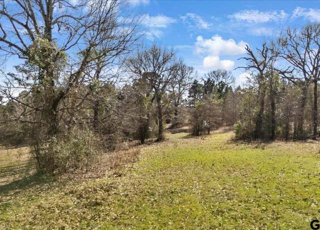 Property at TBD N County Rd 124, Overton, TX 75684