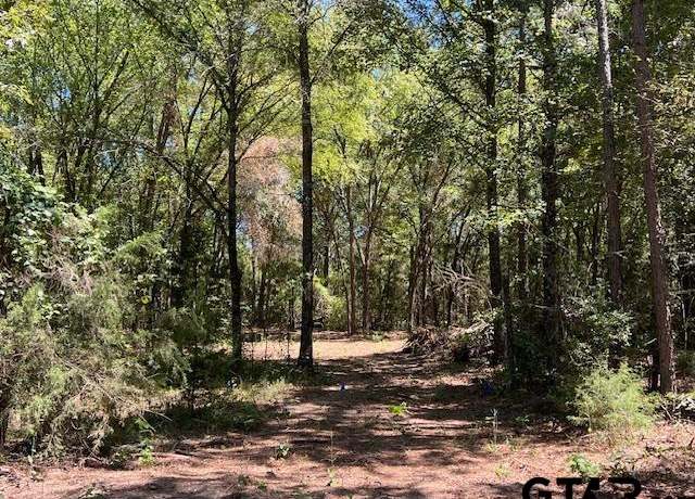 Property at FM 1519 Cr 3322, Pittsburg, TX 75686