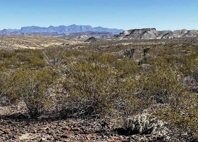 Property at 24423 Fellers Trail Rd. Pid 24423, Terlingua, TX 79852