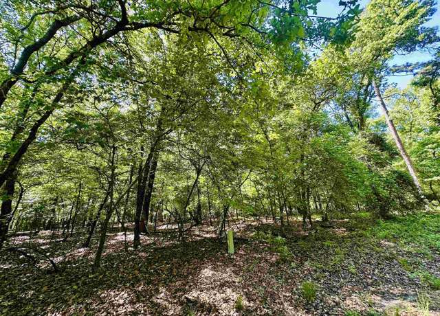 Property at Lot 29 & 30 King Arthur, Scroggins, TX 75480