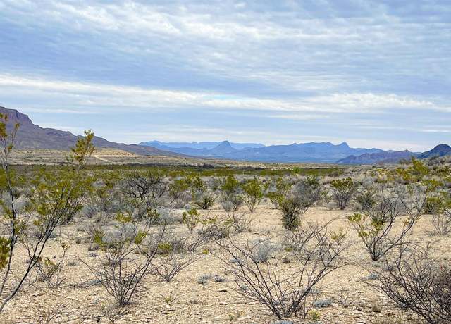 Property at 14539 Youre Lost Pid 14539, Terlingua, TX 79852