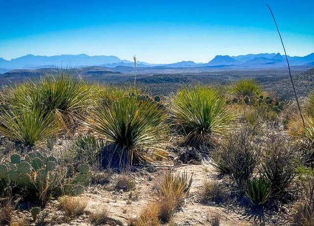 Property at 60 Garnet Rd. Pid 21419, Terlingua, TX 79852
