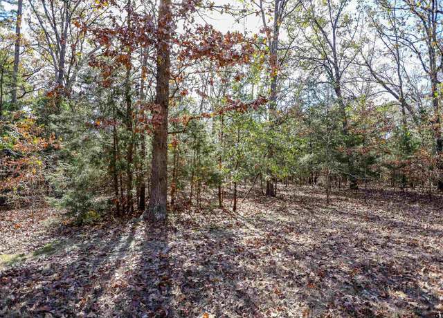 Property at TBD San Saba, Mt Vernon, TX 75457