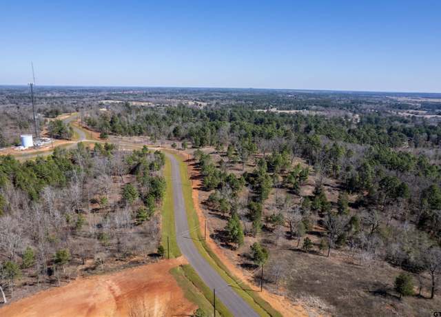 Property at 16169 W Valley View Ct, Winona, TX 75792