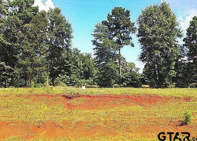 Property at 970 Stone Chimney Rd. (lot 16 CR 3608) Rd, Bullard, TX 75757