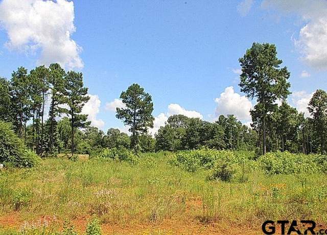 Property at 930 Stone Chimney Rd. (lot 18 CR 3608) Rd, Bullard, TX 75757