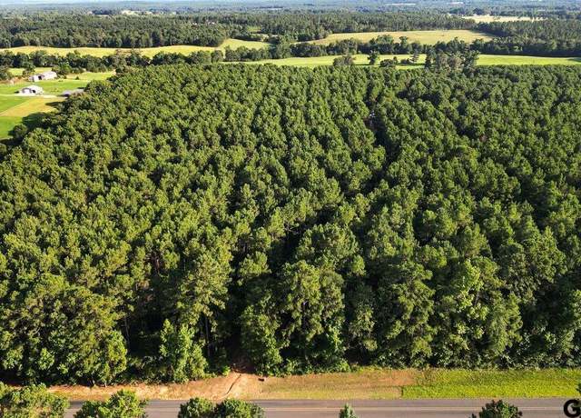 Property at TBD 17 ACRES Fm 2274, Troup, TX 75789