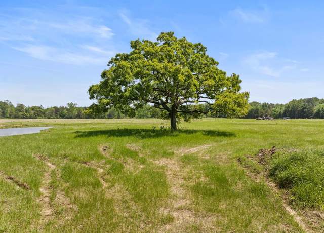 Property at Lot A Cr 3324, Pittsburg, TX 75686