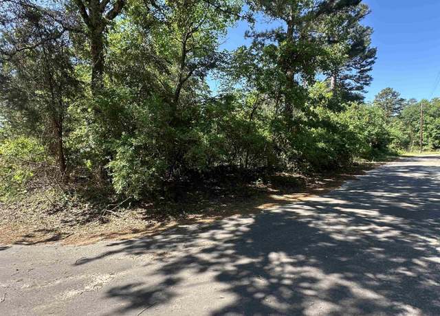Property at TBD Lot 261 & 316 King Lake Rd, Scroggins, TX 75480