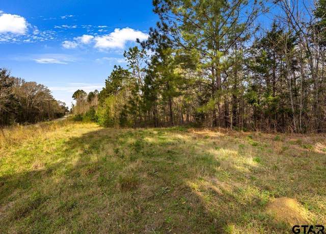 Property at 19427 County Road 2153 Lot 2, Troup, TX 75789