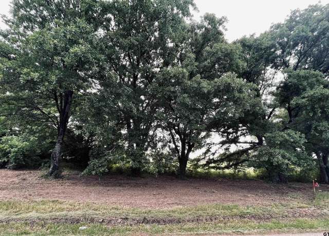 Property at LOT 4 , Cr 1560, Alba, TX 75410