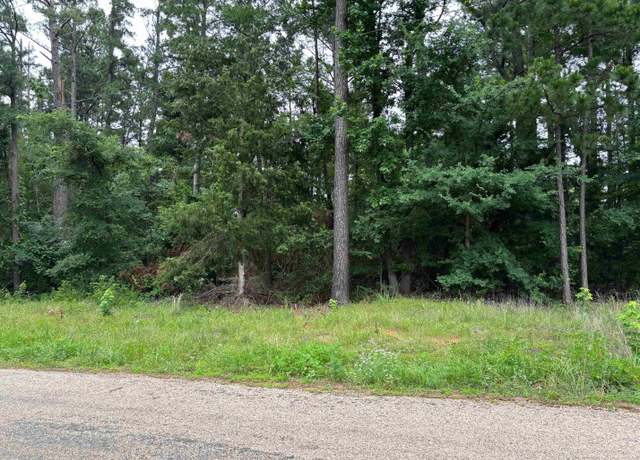 Property at Tbd Cr 2121, Pittsburg, TX 75686