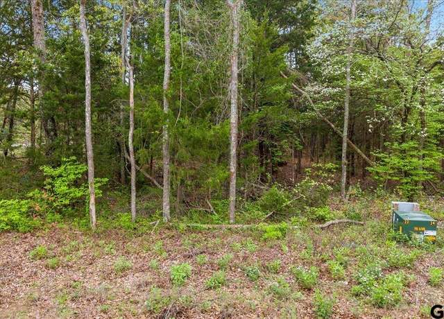 Property at 197 Private Road 6235, Mineola, TX 75773