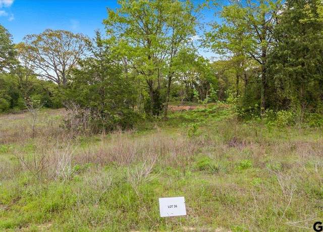 Property at 121 Private Road 6238, Mineola, TX 75773