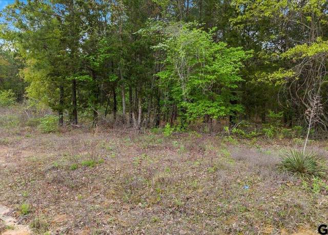 Property at 209 Private Road 6235, Mineola, TX 75773