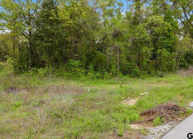 Property at 113 Private Road 6238, Mineola, TX 75773