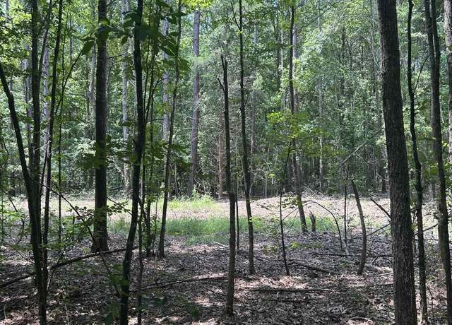Property at TBD Hwy 42, White Oak, TX 75693