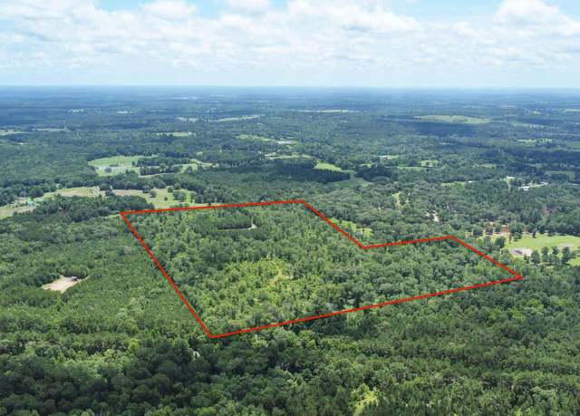 Property at 0 County Road 2155, Troup, TX 75789