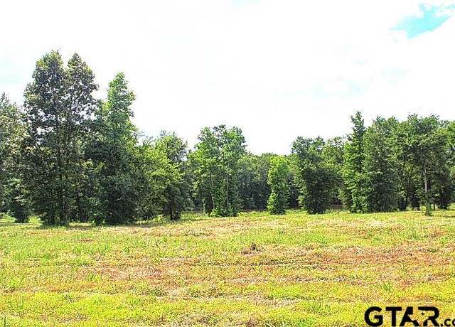 Property at 885 Stone Chimney Rd. (lot 8 CR 3608) Rd, Bullard, TX 75757