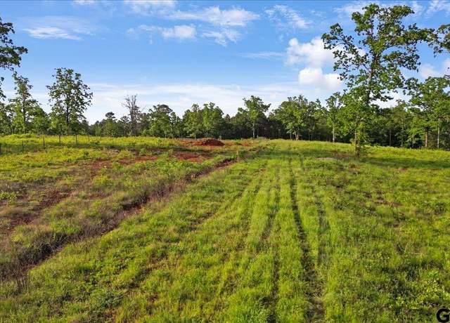 Property at TBD Lionheart Dr, Tyler, TX 75708