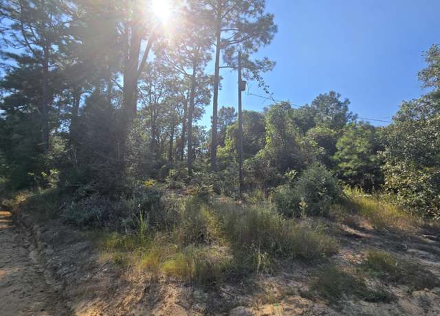 Property at 57117 County Road 3325, Colmesneil, TX 75938