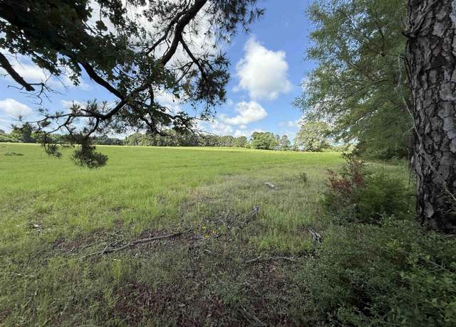 Property at TBD CR 4194 Tr-7, Henderson, TX 75654