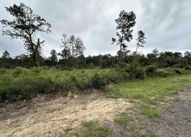Property at TBD Fm 2022 (3.62+/-ac), Grapeland, TX 75844