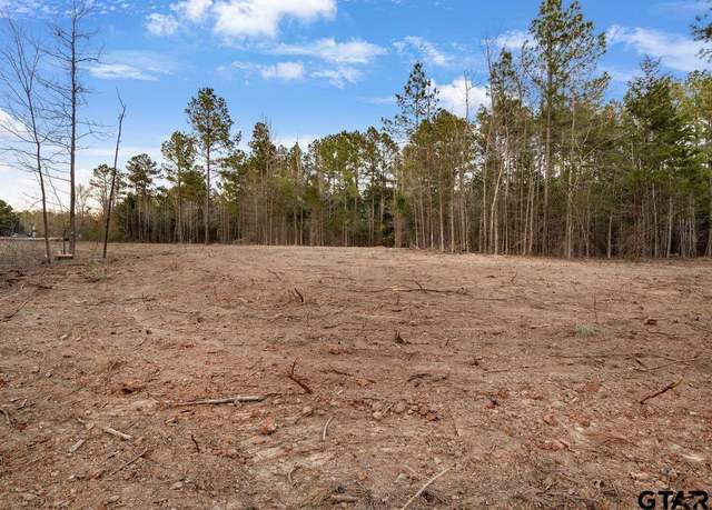 Property at 19210 County Road 2154 Lot 3, Troup, TX 75789
