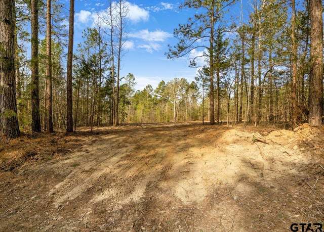 Property at 19178 County Road 2154 Lot 4, Troup, TX 75789