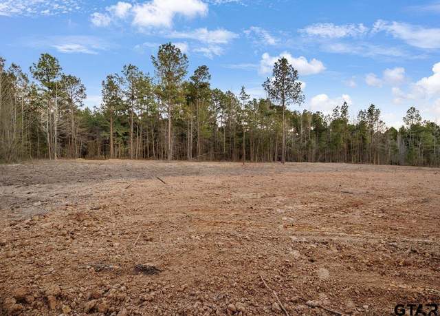 Property at 19140 County Road 2154 Lot 5, Troup, TX 75789