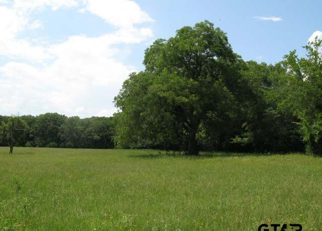 Property at TBD County Rd 1111, Grand Saline, TX 75140