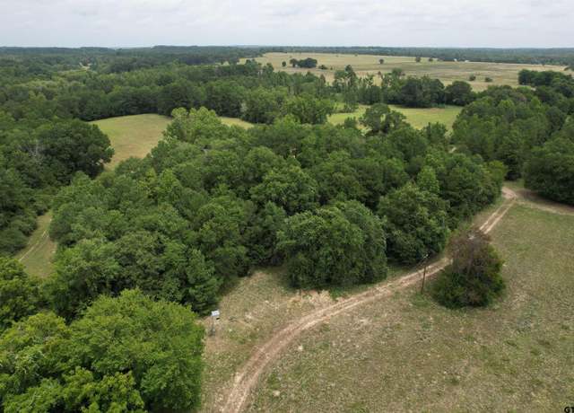 Property at TBD Cr 2170, Grapeland, TX 75844