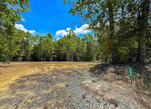 Property at 7475 S Cr 378, Laneville, TX 75667