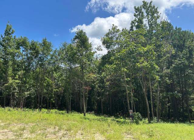 Property at 7475 S Cr 378, Laneville, TX 75667