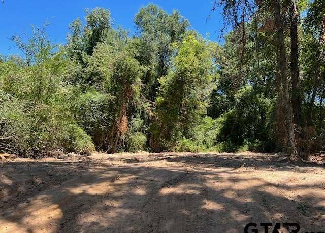 Property at TBD LOT 2 Cr 3322, Pittsburg, TX 75686
