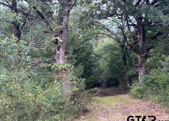 Property at TBD W Hwy 80, Mineola, TX 75773