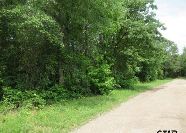 Property at 3.54 AC Cr 352, Palestine, TX 75803
