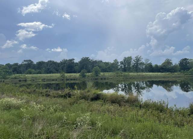 Property at 8163 & 8164 Cr 1200, Mt Pleasant, TX 75455