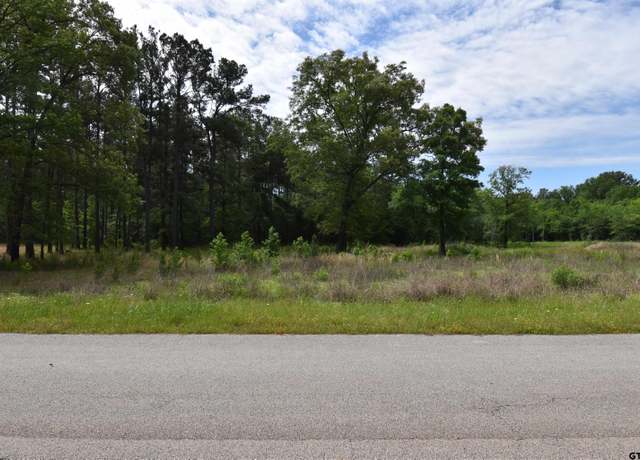 Property at 24281 Stallion Park Pl, Lindale, TX 75771