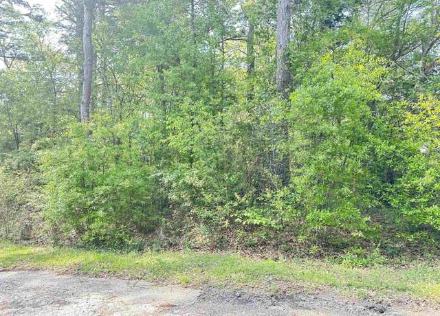 Property at Lot 9 Three Points Est, Frankston, TX 75763